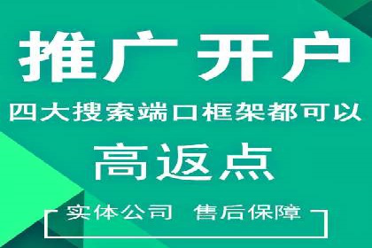 深入剖析SEM公司成功案例：数据驱动的广告策略